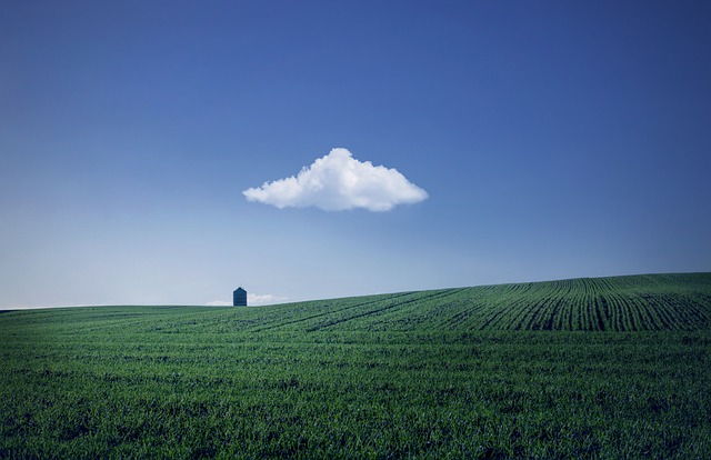 Agricultural Land View 2